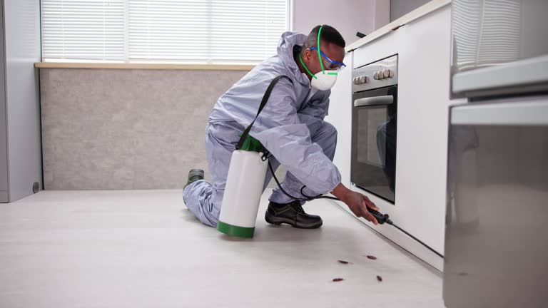 Professional Pest Control in Hainesville, IL